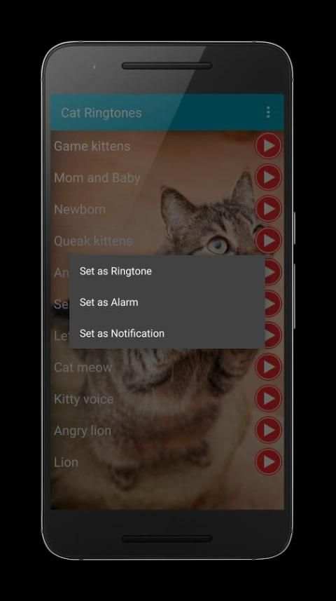 Cat Sounds Ringtones Purr скриншот 3