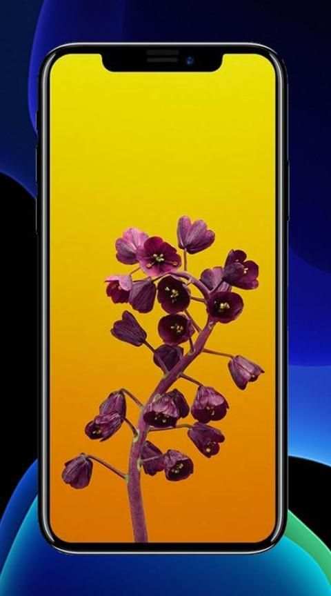 Wallpaper for iPhone 12 pro max - OS 14 screenshot 5