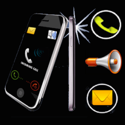 Имя вызывающего диктора + SMS иконка