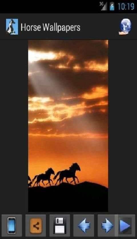 Horse Wallpapers screenshot 1