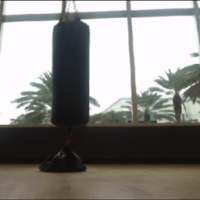 MMA Combo Trainer on 9Apps