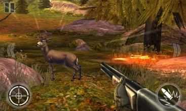 Safari Hunter 3D 3 تصوير الشاشة