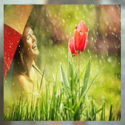 ikon Rain Photo Frame