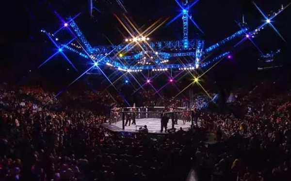 Action: WWE VS UFC Warriors 3 تصوير الشاشة