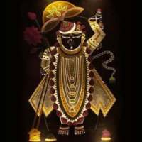 ikon Shrinathji Aarti Bhajan Audio