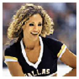 Dallas Stars Cheerleaders иконка