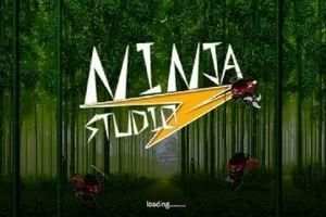 Fruit Ninja Kaka screenshot 3