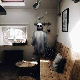 Camera Ghost 1.0