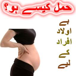 Hamal Guide 1.0