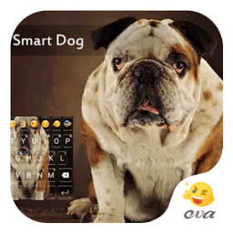 ikon Disappoint Bull Dog Keyboard