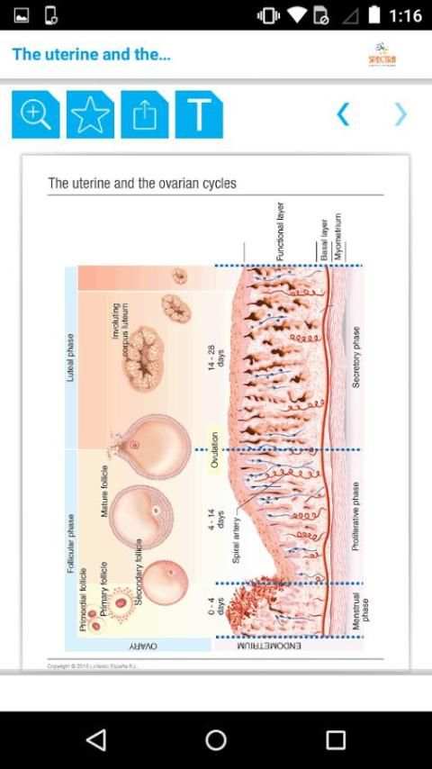 Mini Atlas Gynaecology स्क्रीनशॉट 7