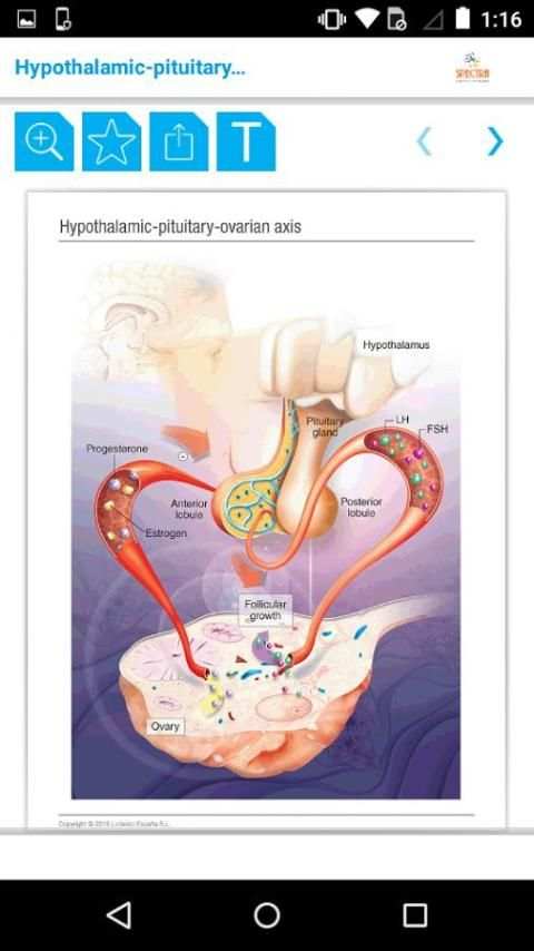 Mini Atlas Gynaecology स्क्रीनशॉट 8