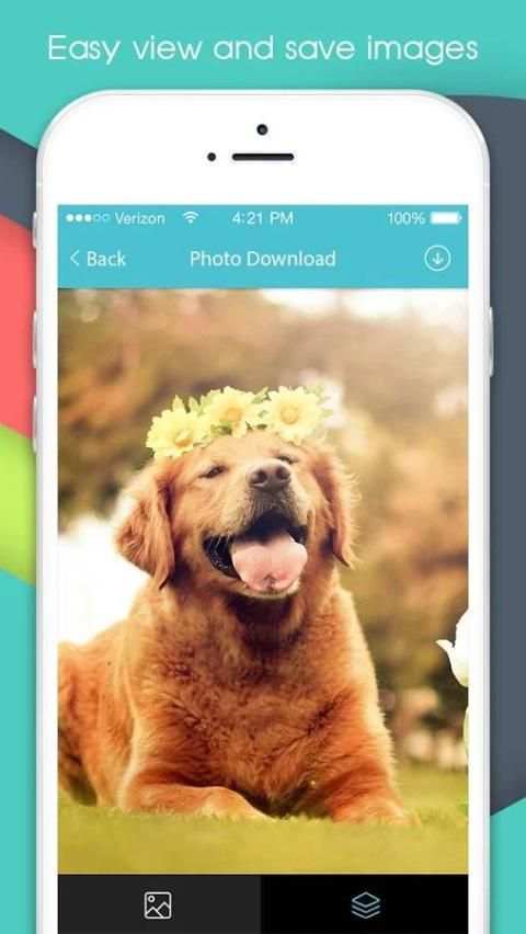 Photo Download screenshot 3