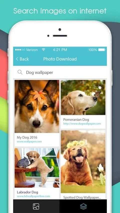 Photo Download screenshot 4