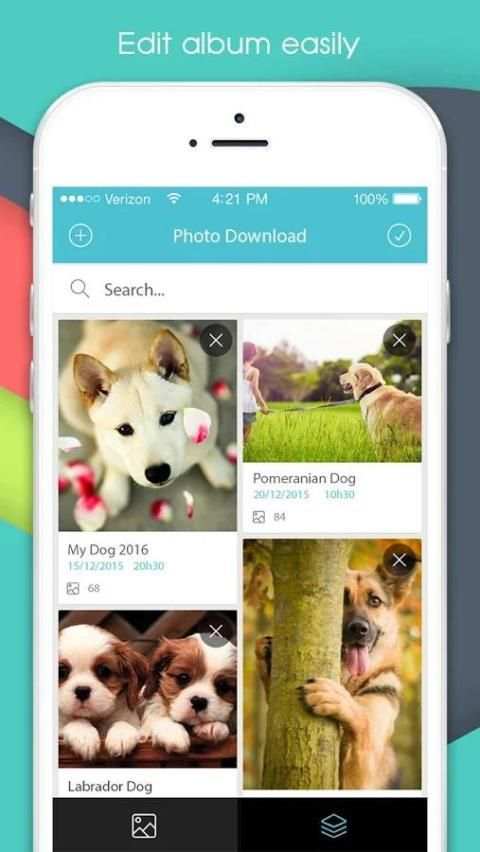 Photo Download screenshot 5