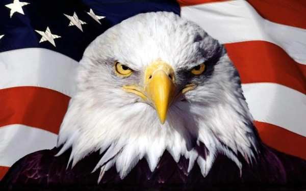 USA Flag Wallpapers 5 تصوير الشاشة