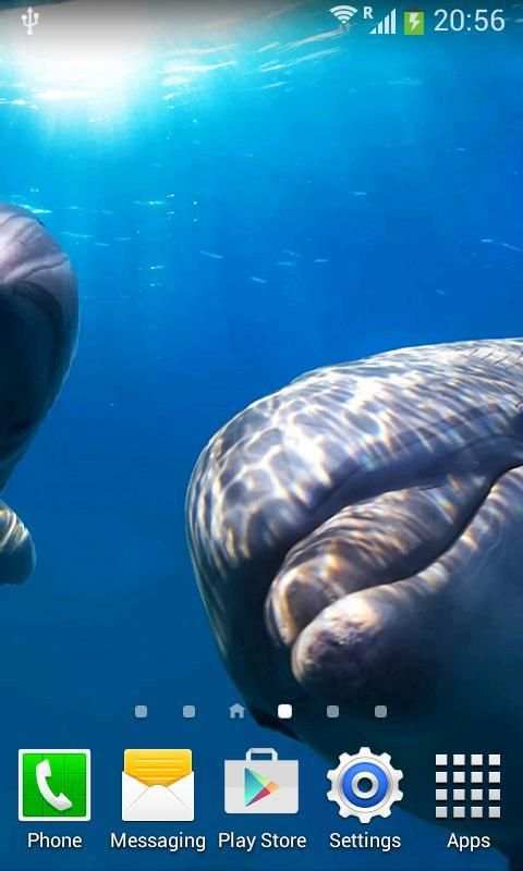 Dolphins Live Wallpaper screenshot 3