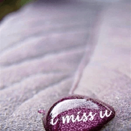 Grand Prime HD Wallpapers icon