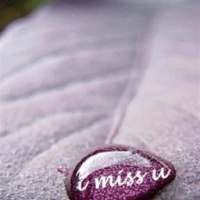 Grand Prime HD Wallpapers on 9Apps