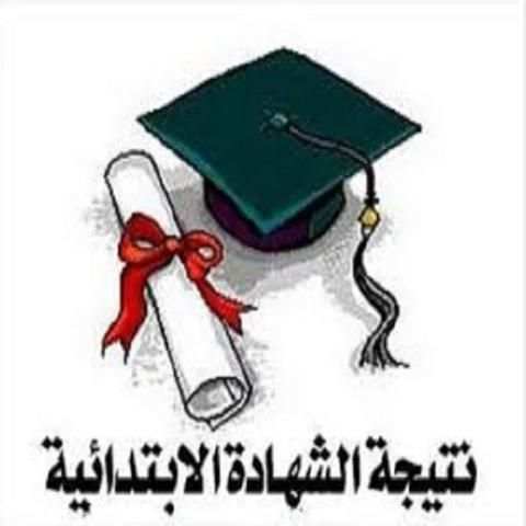 نتيجة الشهادة الإبتدائية скриншот 2