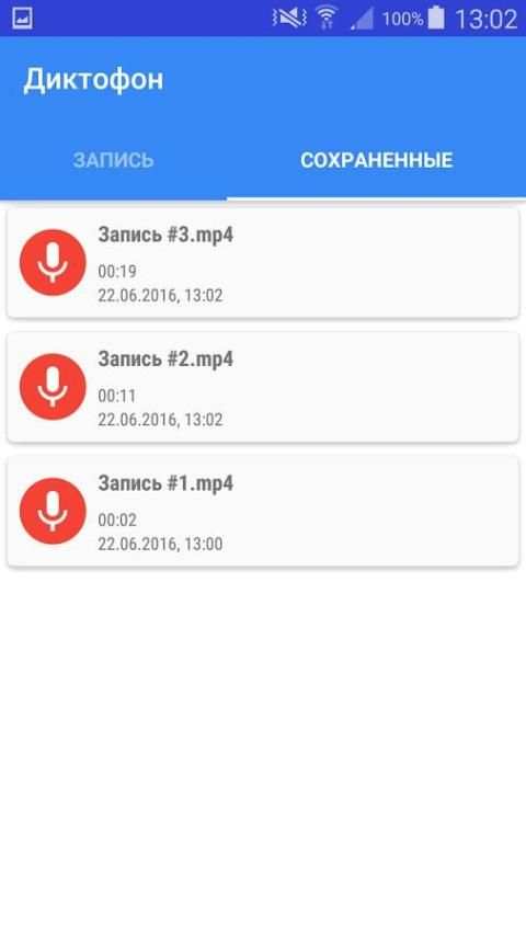 Деловой диктофон screenshot 4