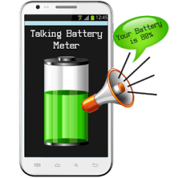 ikon Talking Battery Meter