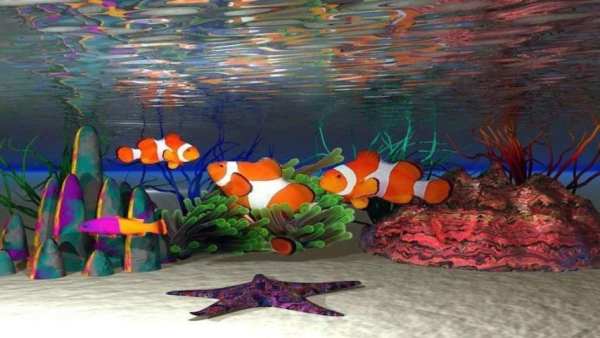 Fish HD Wallpaper स्क्रीनशॉट 5
