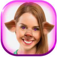 Hewan Wajah Foto Montase