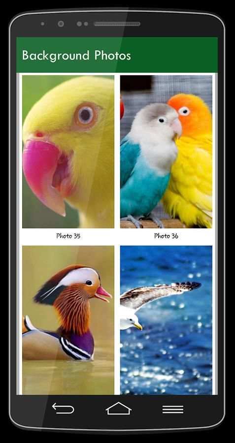 Birds Photo Lock Screen screenshot 5