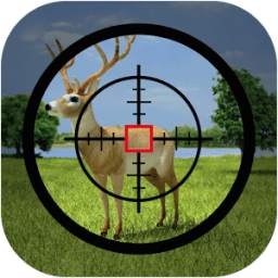 Animal Hunting 1.0.2