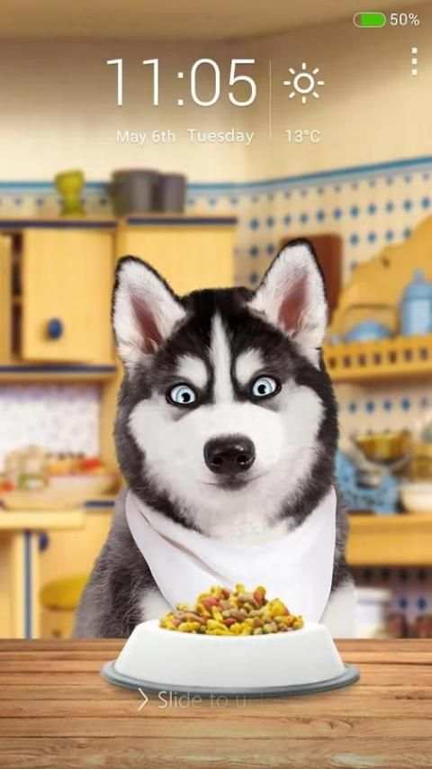 Dog 4 تصوير الشاشة