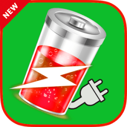 ikon Battery Fast Charger: Free