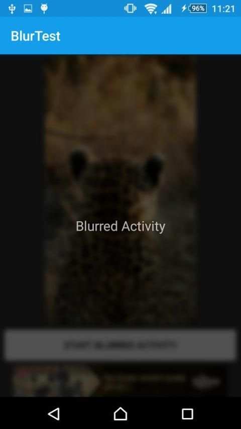 Blur screenshot 1