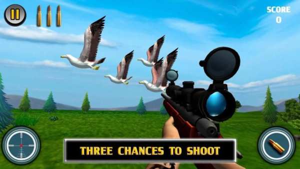 Berburu Burung Liar screenshot 5