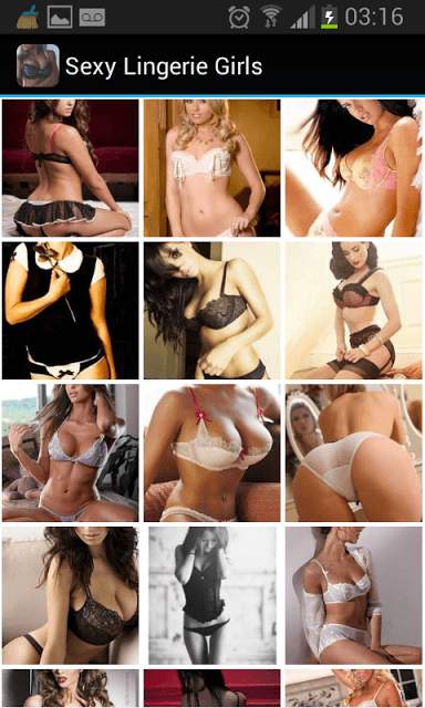 Sexy Lingerie Girls screenshot 3