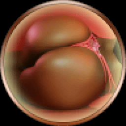 Sexy Sexy Ass Girls icon