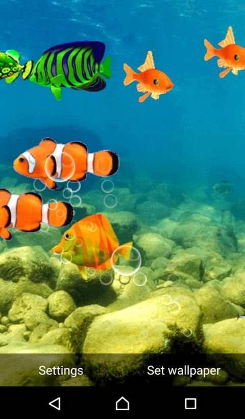 FISH LIVE WALLPAPER 2016 स्क्रीनशॉट 3