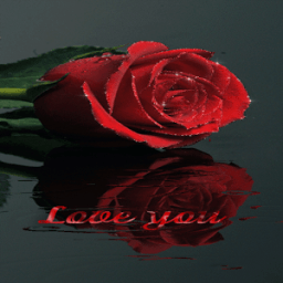 ikon Shining Rose Live Wallpaper