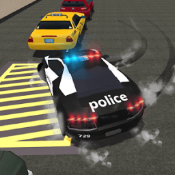 Police Academy Driving Test 3D icon