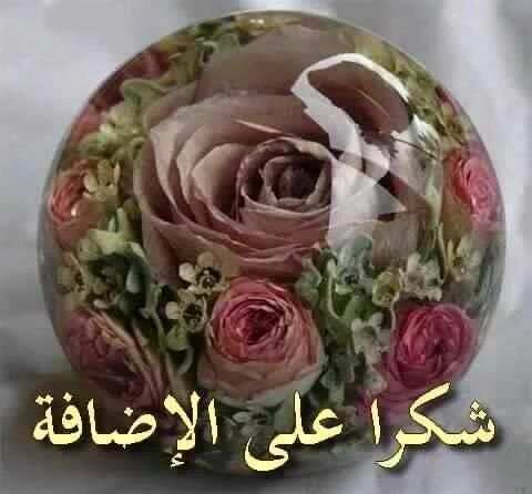 بطاقات ورد لشكر على قبول صداقة screenshot 6