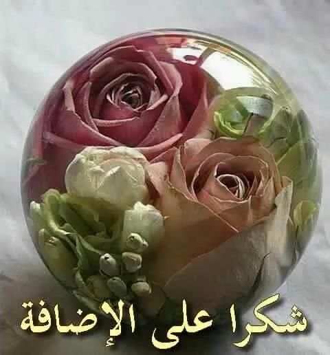بطاقات ورد لشكر على قبول صداقة screenshot 8