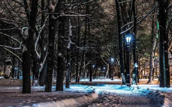 Park Live Wallpaper screenshot 4