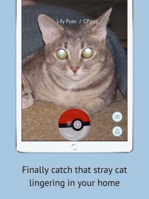 PokeCam: Pokémon GO Camera screenshot 5