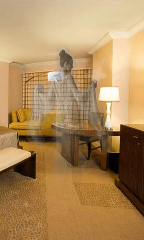 Ghost in camera HD screenshot 1