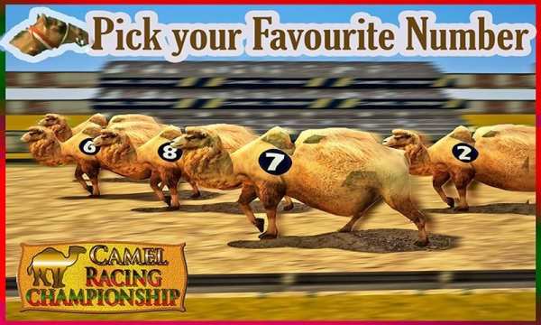 Camel Racing Championship screenshot 11