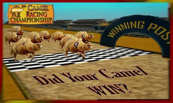 Camel Racing Championship screenshot 10