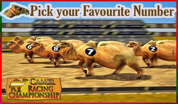 Camel Racing Championship screenshot 4
