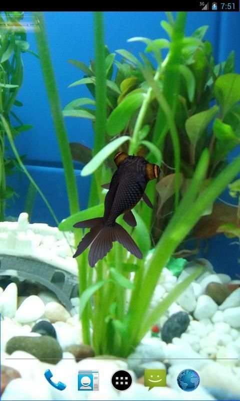 3D Goldfish Live Wallpaper screenshot 2