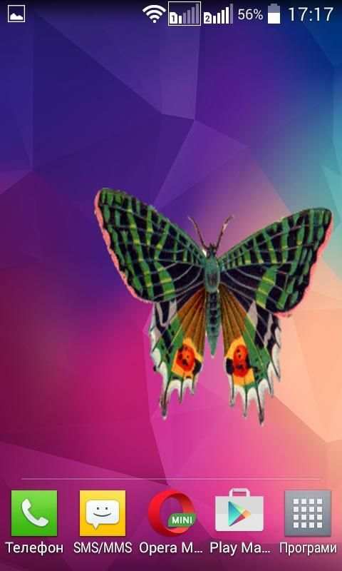 Butterfly Widget screenshot 3
