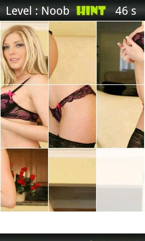 Michelle Barrett Porn Puzzle screenshot 2